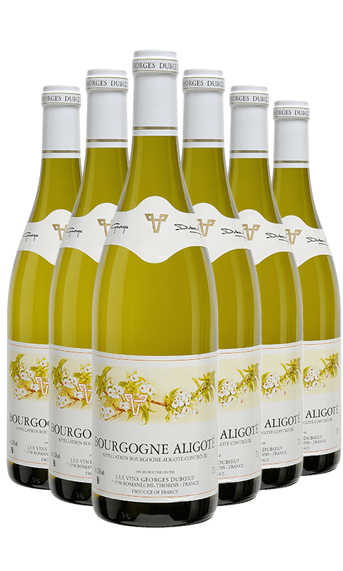 שישיית דובף אליגוטה